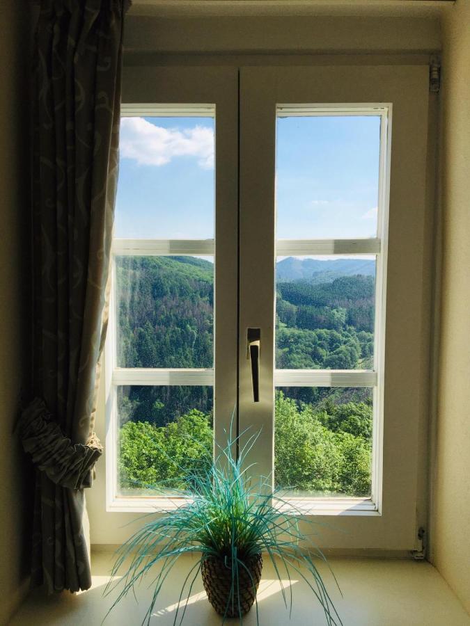 Apartamento Schloss Wittgenstein Bad Laasphe Exterior foto